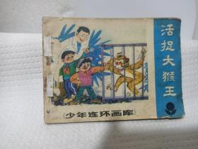 连环画：活捉大猴王（少年连环画库）旧版