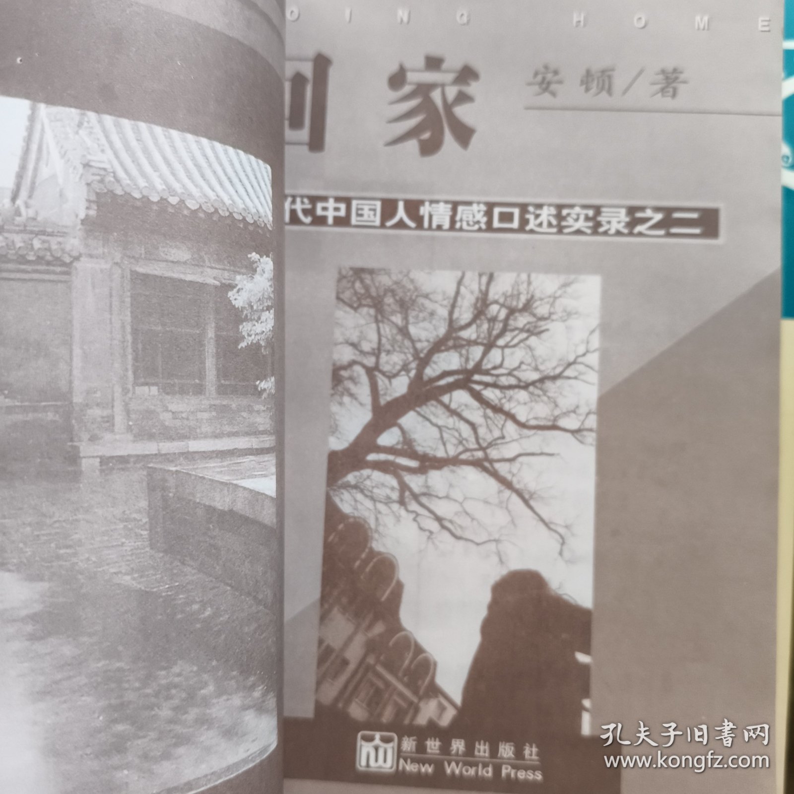 回家：当代中国人情感口述实录之二