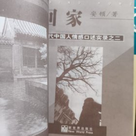 回家：当代中国人情感口述实录之二