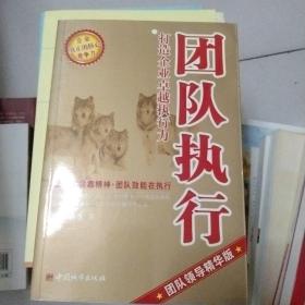 团队执行:打造企业卓越执行力