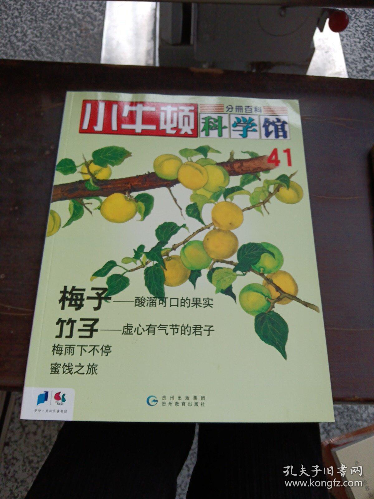 小牛顿科学馆 41