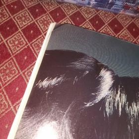 明星 周慧敏 玉女心经