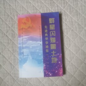 群星闪耀黑土地先进典型事迹一