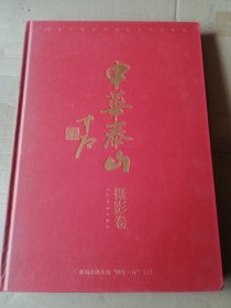 中华泰山 当代中国书画摄影名家作品集（摄影卷）