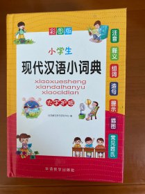 小学生现代汉语小词典 彩图大字版 小学生专用现代汉语词典 品牌辞书
