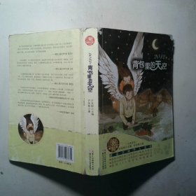 红蜻蜓暖爱长篇小说2042 背包里的天空