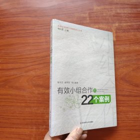 有效小组合作的22个案例 未拆封