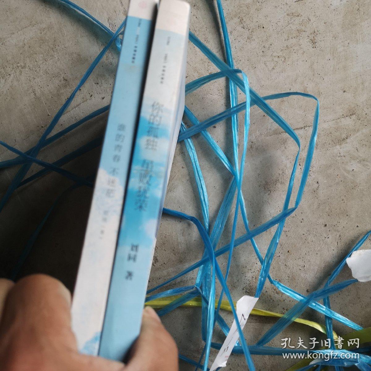 谁的青春不迷茫：一个奋斗小青年的逆袭人生｀你的孤独虽败犹荣两本书合卖