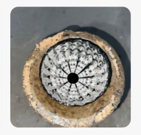 福建龙窑柴烧精品《银羽孔雀》主人杯(工艺师现场开窑，千里挑一，口经9.5厘米，高5厘米，心爱之物，有缘人私聊)