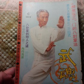 武魂杂志 1994 6不缺页 有钉绣醉鬼张三门的八卦掌法 陈氏太极拳简化二十四式 上心意秘功 顺水推舟上 天机拨动真人现 王培生授