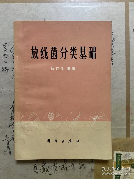 放线菌分类基础