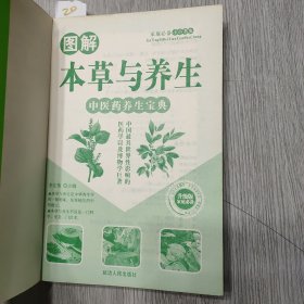 中医药养生宝典：图解妙用本草与养生（升级版）