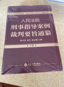 （未开封）人民法院刑事指导案例裁判要旨通纂（上下卷）