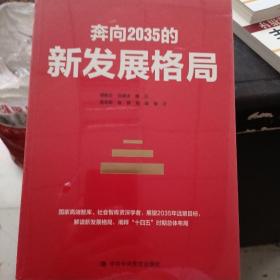 奔向2035的新发展格局