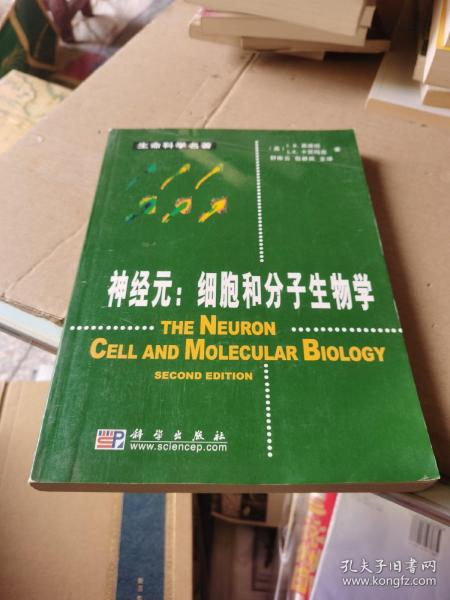 神经元：细胞和分子生物学