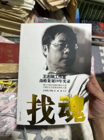 找魂：王志纲工作室战略策划10年实录