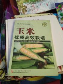 玉米优质高效栽培—社会主义新农村建设文库