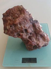 阿拉善奇石-风砺石/戈壁石13*9cm
