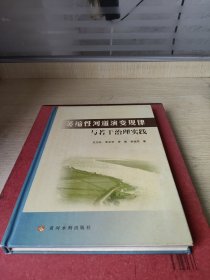 萎缩性河道演变规律与若干治理实践