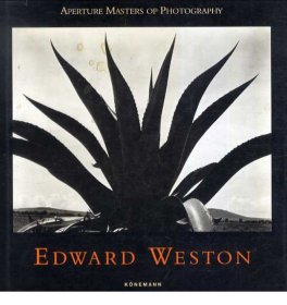价可议 Edward Weston 46szyszy