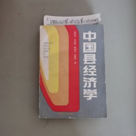 中国县经济学 1990年一版一印