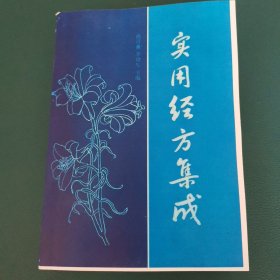 实用经方集成