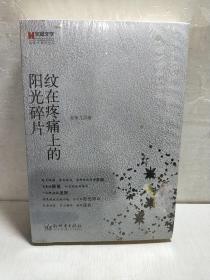 宏章文学：纹在疼痛上的阳光碎片