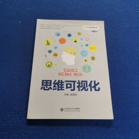 中学思维训练丛书·第一册：思维可视化