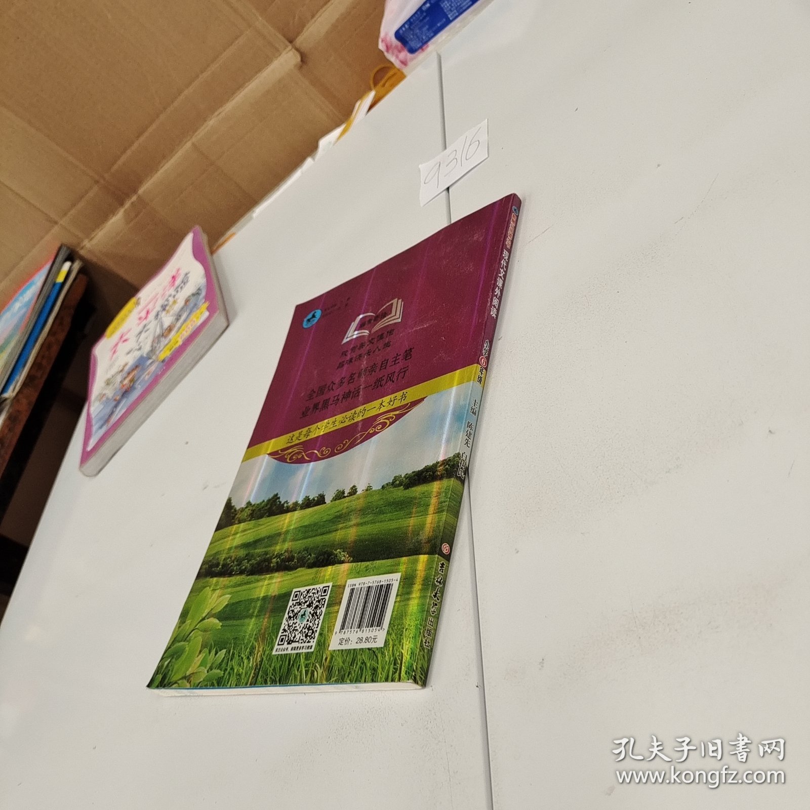 新黑马阅读丛书：现代文课外阅读．小学六年级（2023第11版）