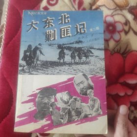 大东北剿匪记.第二册.长篇纪实文学