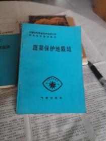 蔬菜保护地栽培 中国农村致富技术函授大学实用技术培训教材