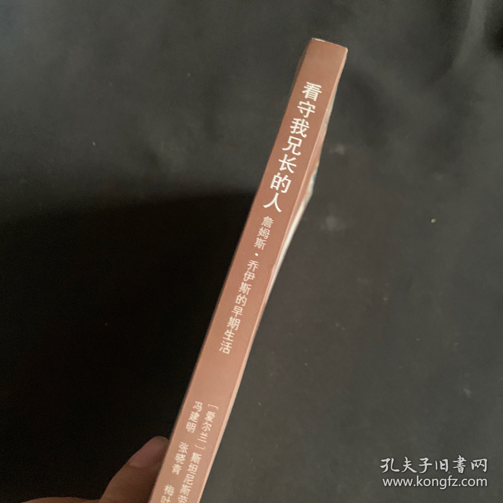 看守我兄长的人：詹姆斯·乔伊斯的早期生活.