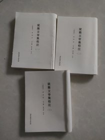 梁简文帝集校注：全四册（只有1.2.3册 无书壳）