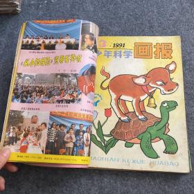 少年科学画报 1991年1-12期 全