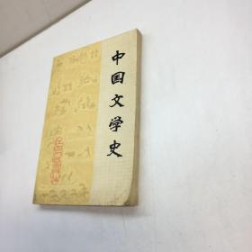 中国文学史  （中）