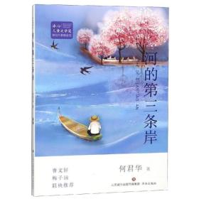 冰心儿童文学奖新锐作家精品馆:河的第三条岸