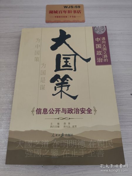 大国策——通向大国之路的中国政治：信息公开与政治安全