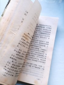 王亚樵传奇