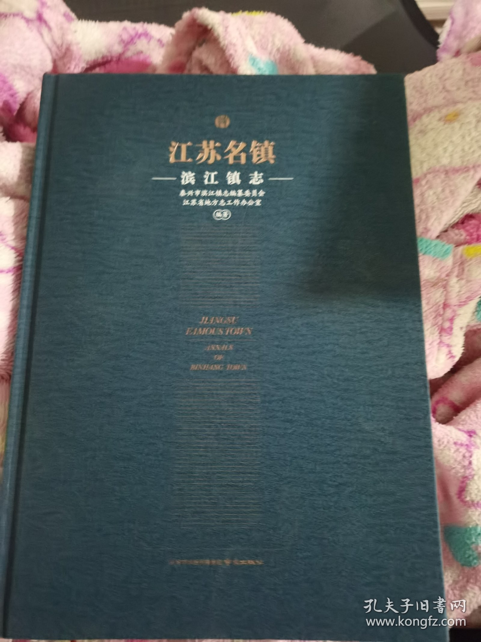 江苏名镇.滨江镇志（书皮装订翻了）