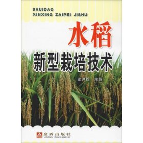 水稻新型栽培技术