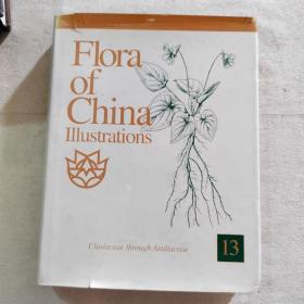 中国植物志图谱 第13卷（英文版）