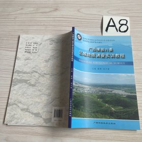 广西横县六景区域地质调查实训教程