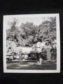 1960年代《老照片》街道上的小萌娃