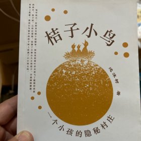 桔子小鸟：一个小孩的隐秘村庄