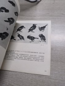 美术丛刊20