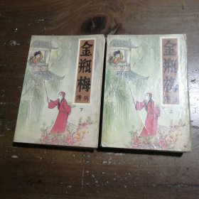 金瓶梅外传（上下）