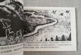 人民美术【青藏铁路】