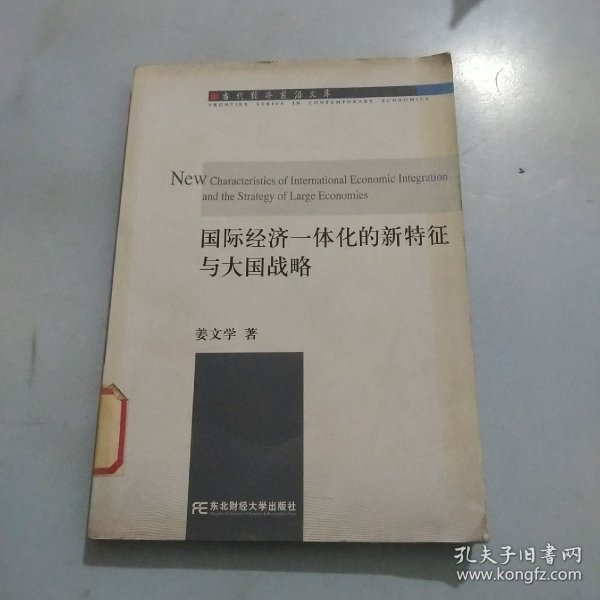 国际经济一体化的新特征与大国战略(当代经济前沿文库)