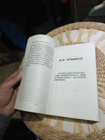 中国中产阶级:未来社会结构的主流 秦言 著 中国计划出版社9787800587207