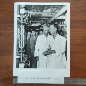 超大尺寸：1958年，刘少奇参观石家庄华北制药厂（袋1261--57号）